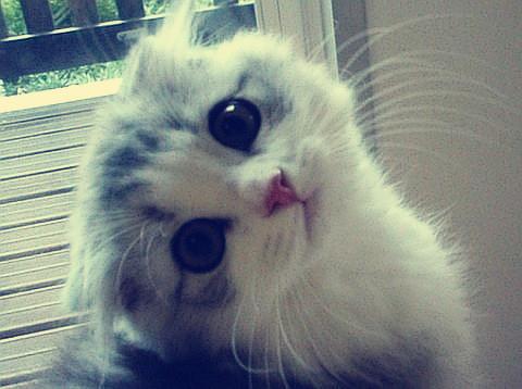 ¶àµØ³ǫ̈Âä»§ÐÂÕþ½µµÍÃż÷£¬ÊÍ·ÅʲôÐźţ¿