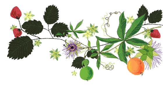 ֱΪʯҵ 㶫Ļᡰ˷硱ת