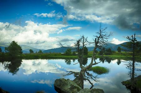 2025Ļ±ʽ硶ǧߵڱݾ